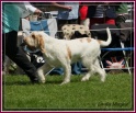 28-07-12 M GoodAsGold_IMG_8005